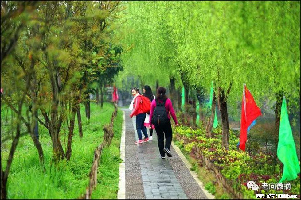 【春天,广西桂林灌阳县向您发出邀请!】江口老街又逢春 - 游山玩水 - 西安生活社区 - 西安28生活网 xa.28life.com