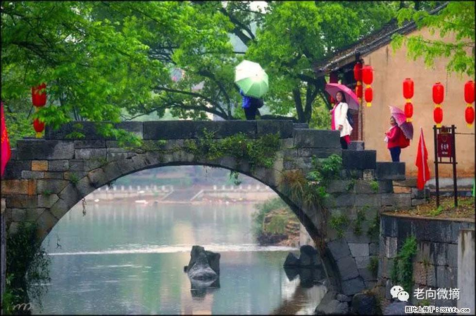 【春天,广西桂林灌阳县向您发出邀请!】江口老街又逢春 - 游山玩水 - 西安生活社区 - 西安28生活网 xa.28life.com