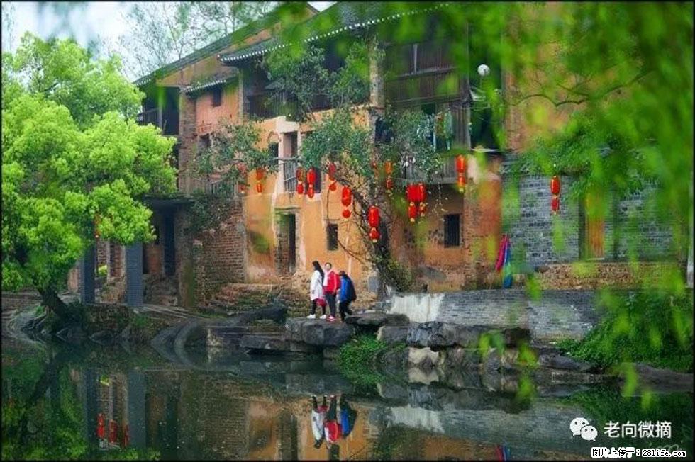 【春天,广西桂林灌阳县向您发出邀请!】江口老街又逢春 - 游山玩水 - 西安生活社区 - 西安28生活网 xa.28life.com