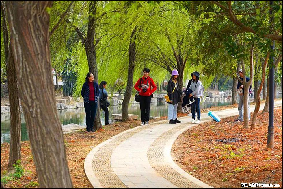 【春天,广西桂林灌阳县向您发出邀请!】江口老街又逢春 - 游山玩水 - 西安生活社区 - 西安28生活网 xa.28life.com