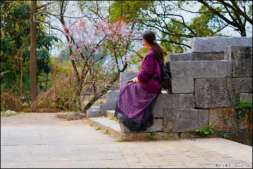 【春天,广西桂林灌阳县向您发出邀请!】江口老街又逢春 - 游山玩水 - 西安生活社区 - 西安28生活网 xa.28life.com