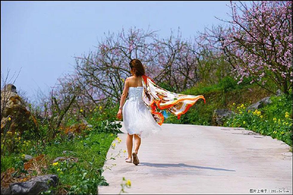 【春天，广西桂林灌阳县向您发出邀请！】望月岭上桃花开 - 游山玩水 - 西安生活社区 - 西安28生活网 xa.28life.com