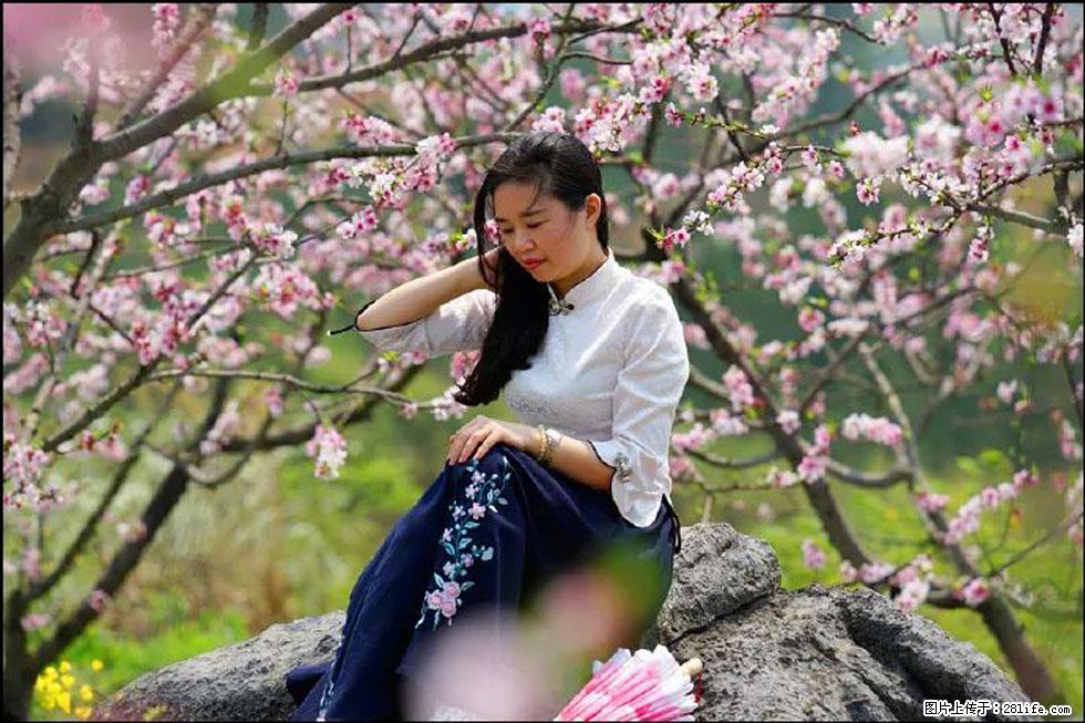 【春天，广西桂林灌阳县向您发出邀请！】望月岭上桃花开 - 游山玩水 - 西安生活社区 - 西安28生活网 xa.28life.com