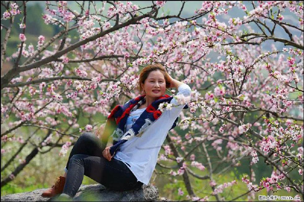 【春天，广西桂林灌阳县向您发出邀请！】望月岭上桃花开 - 游山玩水 - 西安生活社区 - 西安28生活网 xa.28life.com