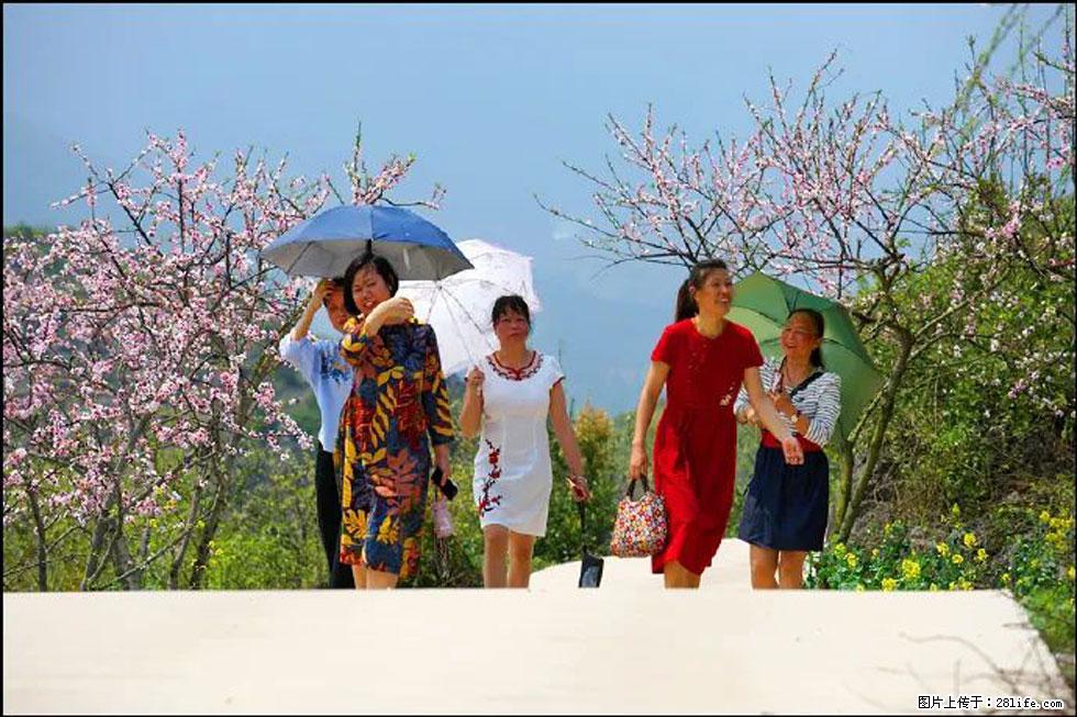 【春天，广西桂林灌阳县向您发出邀请！】望月岭上桃花开 - 游山玩水 - 西安生活社区 - 西安28生活网 xa.28life.com