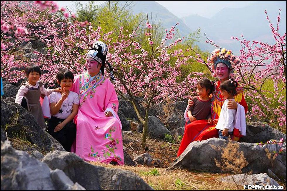 【春天，广西桂林灌阳县向您发出邀请！】望月岭上桃花开 - 游山玩水 - 西安生活社区 - 西安28生活网 xa.28life.com