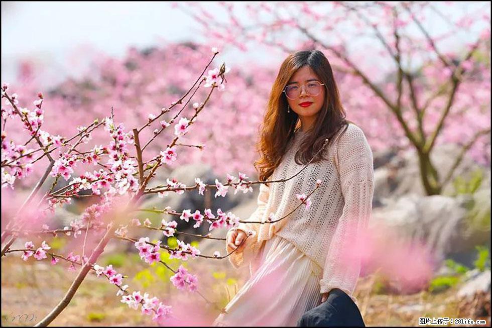 【春天，广西桂林灌阳县向您发出邀请！】望月岭上桃花开 - 游山玩水 - 西安生活社区 - 西安28生活网 xa.28life.com