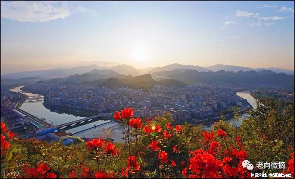 【春天，广西桂林灌阳县向您发出邀请！】登麒麟山，相约映山红 - 游山玩水 - 西安生活社区 - 西安28生活网 xa.28life.com