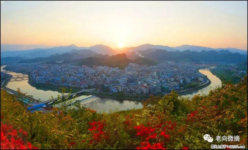 【春天，广西桂林灌阳县向您发出邀请！】登麒麟山，相约映山红 - 游山玩水 - 西安生活社区 - 西安28生活网 xa.28life.com