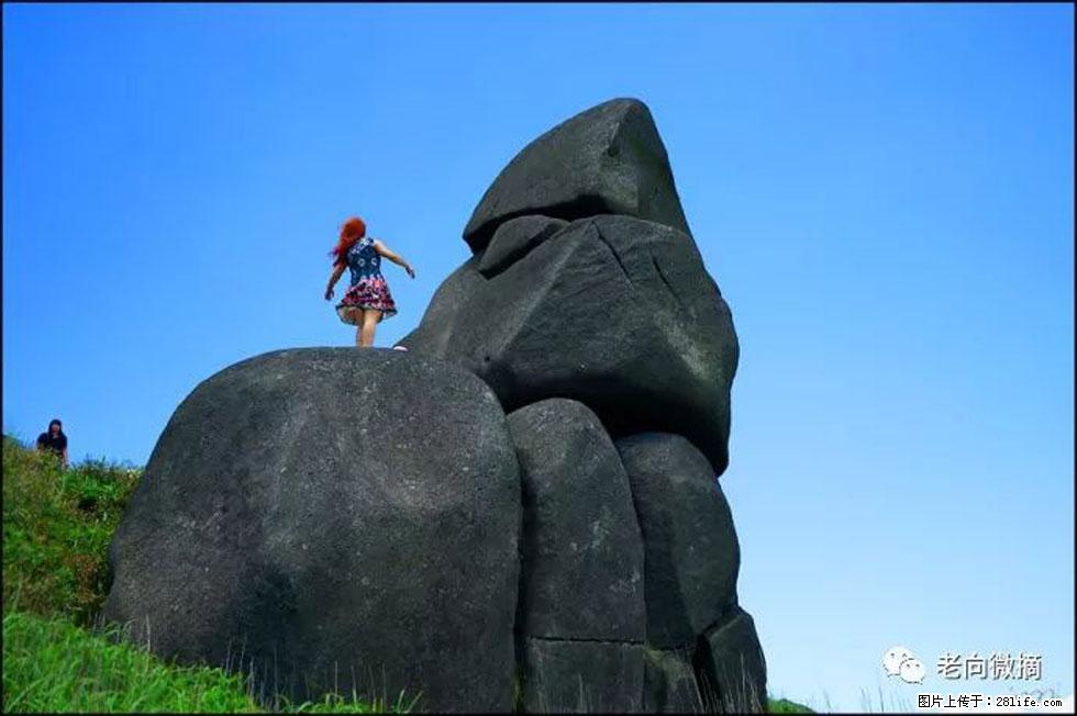 【春天，广西桂林灌阳县向您发出邀请！】宝盖山上映山红 - 游山玩水 - 西安生活社区 - 西安28生活网 xa.28life.com