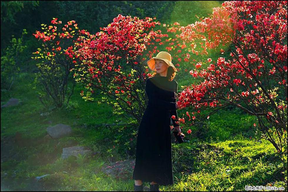 【春天，广西桂林灌阳县向您发出邀请！】春木界上映山红 - 游山玩水 - 西安生活社区 - 西安28生活网 xa.28life.com