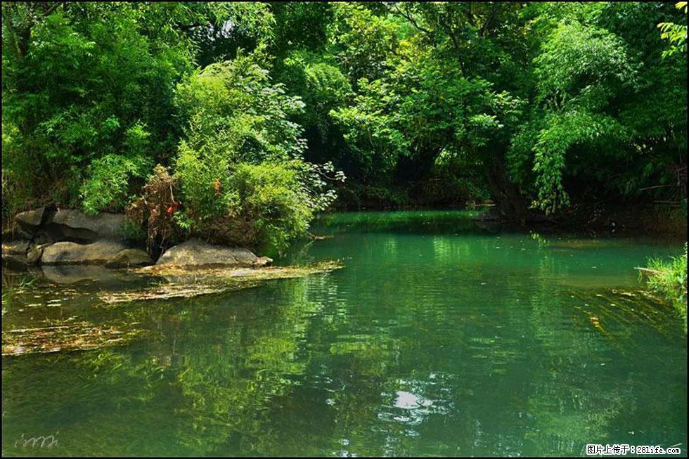 【春天，广西桂林灌阳县向您发出邀请！】如梦似幻莲溪庐 - 游山玩水 - 西安生活社区 - 西安28生活网 xa.28life.com