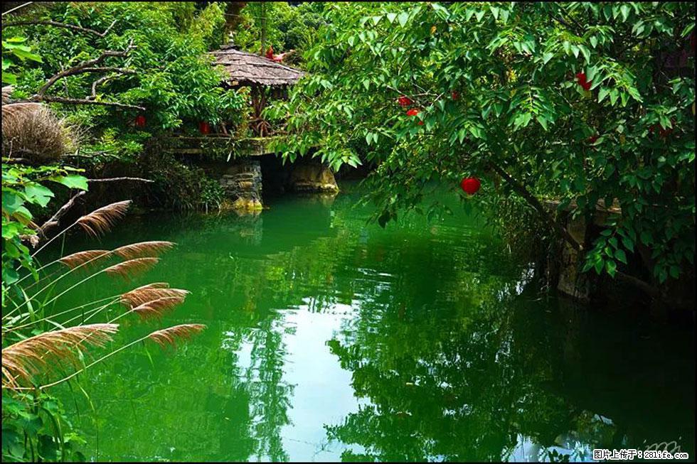 【春天，广西桂林灌阳县向您发出邀请！】如梦似幻莲溪庐 - 游山玩水 - 西安生活社区 - 西安28生活网 xa.28life.com
