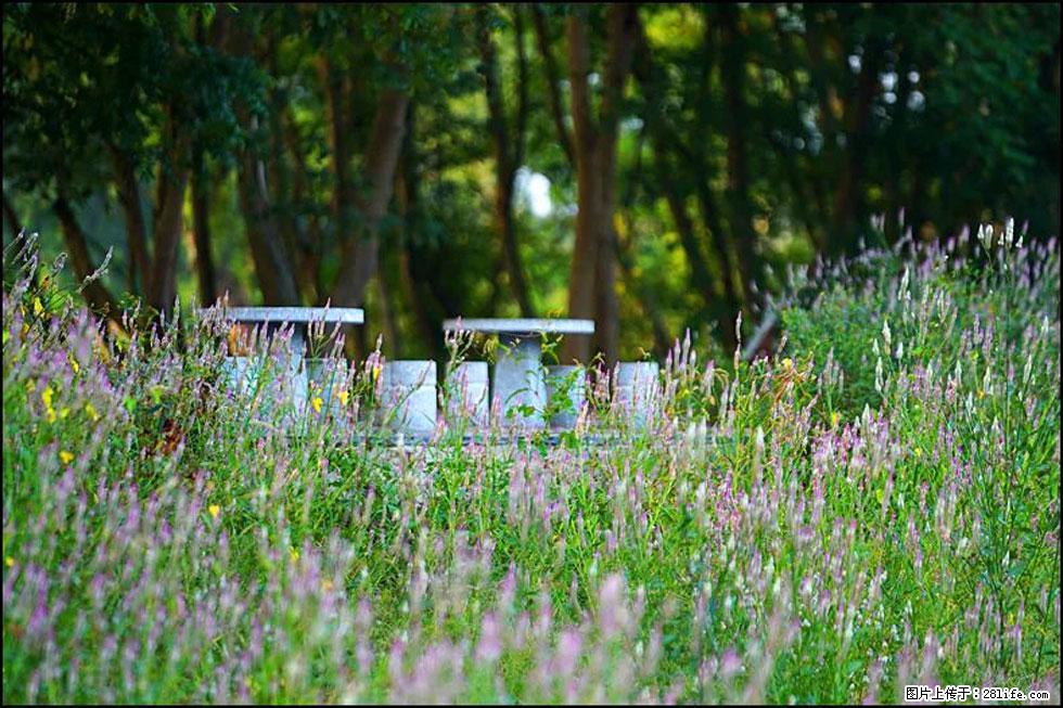 【春天，广西桂林灌阳县向您发出邀请！】熊家寨湿地公园 - 游山玩水 - 西安生活社区 - 西安28生活网 xa.28life.com