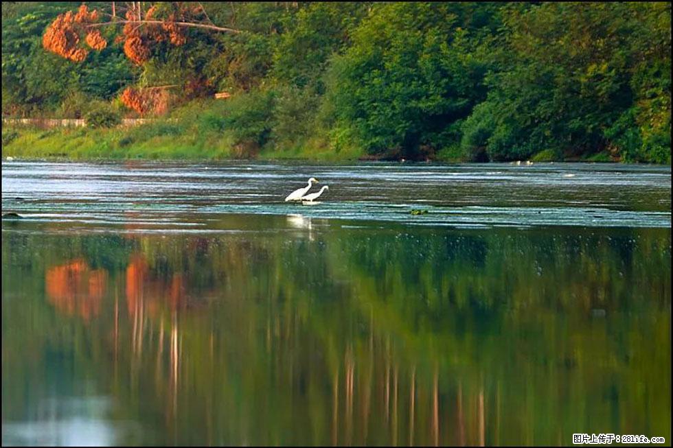 【春天，广西桂林灌阳县向您发出邀请！】熊家寨湿地公园 - 游山玩水 - 西安生活社区 - 西安28生活网 xa.28life.com