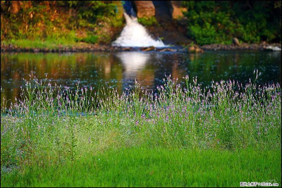 【春天，广西桂林灌阳县向您发出邀请！】熊家寨湿地公园 - 游山玩水 - 西安生活社区 - 西安28生活网 xa.28life.com