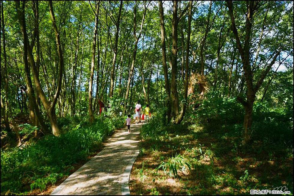 【春天，广西桂林灌阳县向您发出邀请！】熊家寨湿地公园 - 游山玩水 - 西安生活社区 - 西安28生活网 xa.28life.com