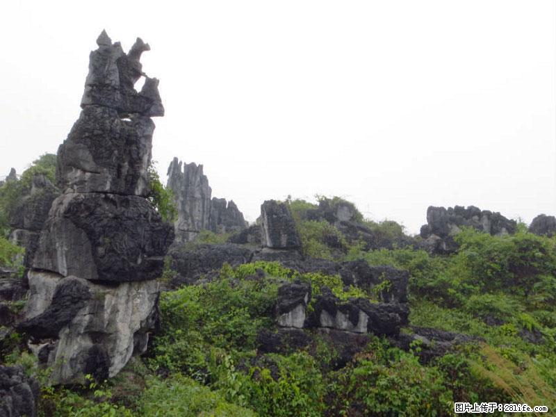 桂林旅游名城景点:灌阳文市石林 - 游山玩水 - 西安生活社区 - 西安28生活网 xa.28life.com