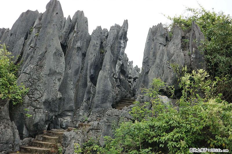 桂林旅游名城景点:灌阳文市石林 - 游山玩水 - 西安生活社区 - 西安28生活网 xa.28life.com