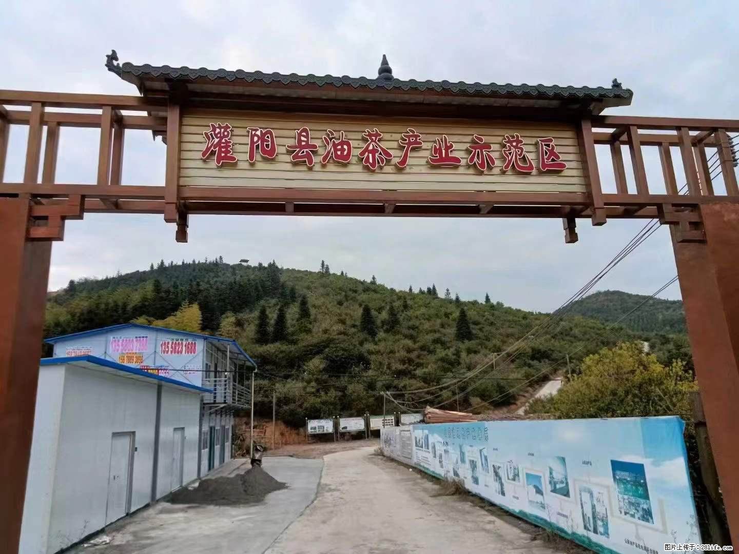 【灌阳县油茶产业示范区】一个有着充实的精神生活的人，对待身外之物自会有一种淡泊的态度 - 美食天地 - 西安生活社区 - 西安28生活网 xa.28life.com