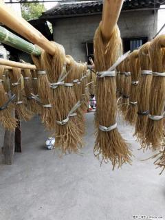 【灌阳正宗红薯粉】美女家里自己做的,干净卫生,假一赔十,价格合理,抢购电话:13737312895 - 西安28生活网 xa.28life.com