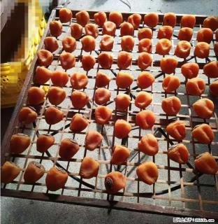 广西桂林平乐桥亭【柿饼之乡】2025年纯手工制作、无任何添加剂的第一批柿饼准备上市了，欢迎联系订购！ - 西安28生活网 xa.28life.com