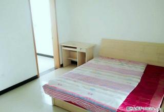 (单间出租)香槟城 爱菊花园 浩林方里星火路蔚蓝花城环城北路玉祥门明珠巷 - 西安28生活网 xa.28life.com