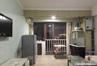 高新一中 云顶园 精装一室全配朝南 有钥匙 拎包入住 - 西安28生活网 xa.28life.com