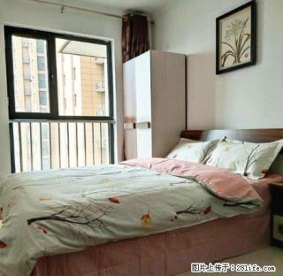 (单间出租)亲爱的朋友们 给自己一个干净舒适的家吧您想要的我们一定会给您 - 西安28生活网 xa.28life.com