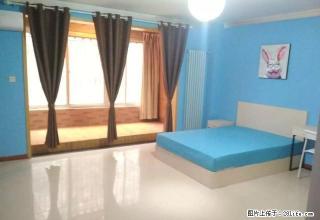 (单间出租)市图书馆天心苑海璟国际月付无中介免物业暖气费网费拎包入住 - 西安28生活网 xa.28life.com