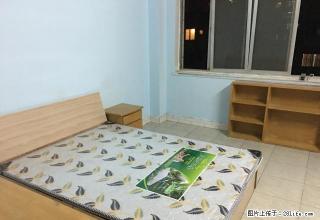 (单间出租)进出口小区()拎包入住 照片实图 - 西安28生活网 xa.28life.com