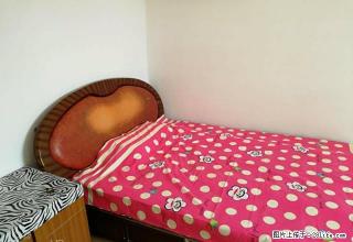 (单间出租)交大西门 南郭门 建东街 太乙路乐居场A2小区主卧600/月 - 西安28生活网 xa.28life.com