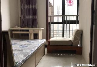 (单间出租)新西蓝二期 高新区 高新四路 科技路 大都荟世纪颐园年底特惠 - 西安28生活网 xa.28life.com