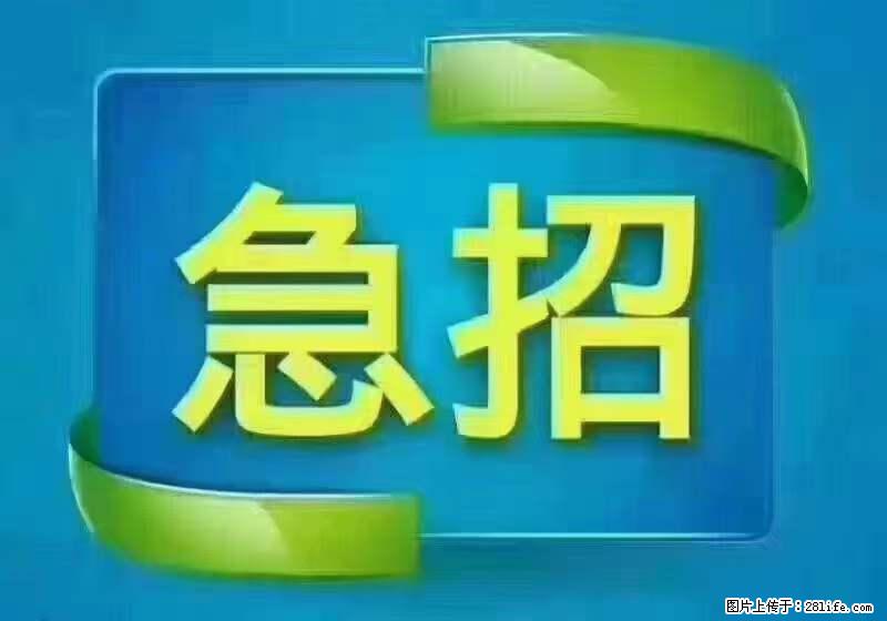 招出纳8000元/月,无证可以,要有相关经验,上海五险一金,包住,包工作餐,做六休一。 - 职场交流 - 西安生活社区 - 西安28生活网 xa.28life.com