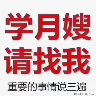 【招聘】月嫂，上海徐汇区 - 西安28生活网 xa.28life.com