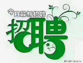 上海隔离酒店招人:55岁以下 男女不限 - 西安28生活网 xa.28life.com