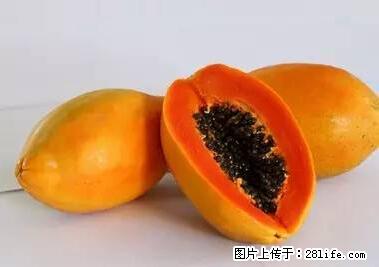 晕车、脚气、牙齿变黄、皮肤粗糙?学会这些三分钟搞定! - 西安生活资讯 - 西安28生活网 xa.28life.com