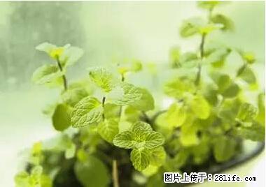 晕车、脚气、牙齿变黄、皮肤粗糙?学会这些三分钟搞定! - 西安生活资讯 - 西安28生活网 xa.28life.com