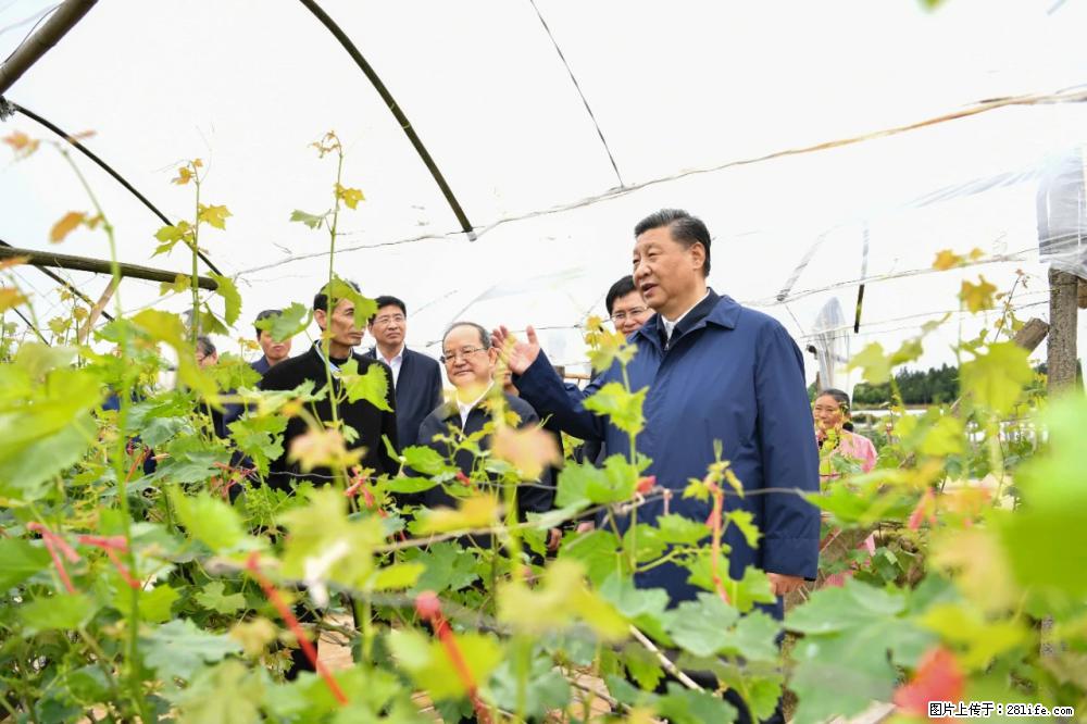 习近平赴广西考察调研 - 西安生活资讯 - 西安28生活网 xa.28life.com
