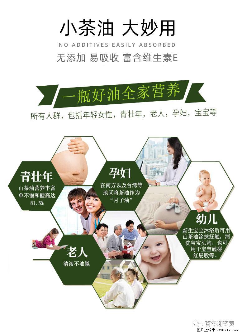 世界没有真相,只有认知,最好的食用油是中国的山茶油! - 西安生活资讯 - 西安28生活网 xa.28life.com