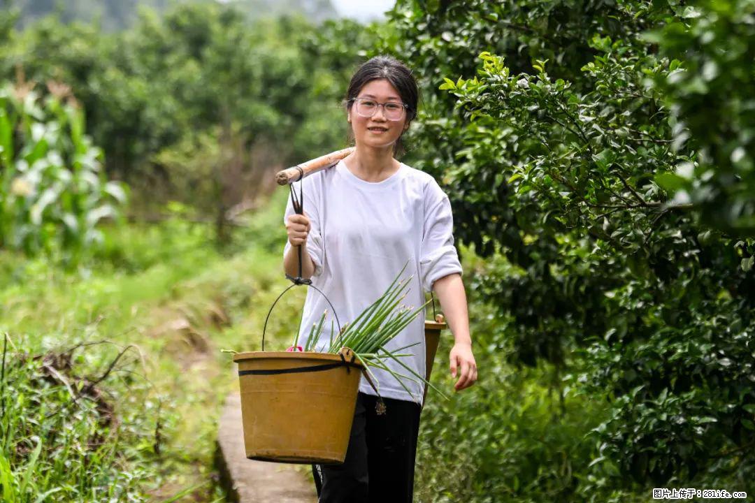 全网追的“扁担女孩”,找了一份暑假工,时薪12元 - 西安生活资讯 - 西安28生活网 xa.28life.com