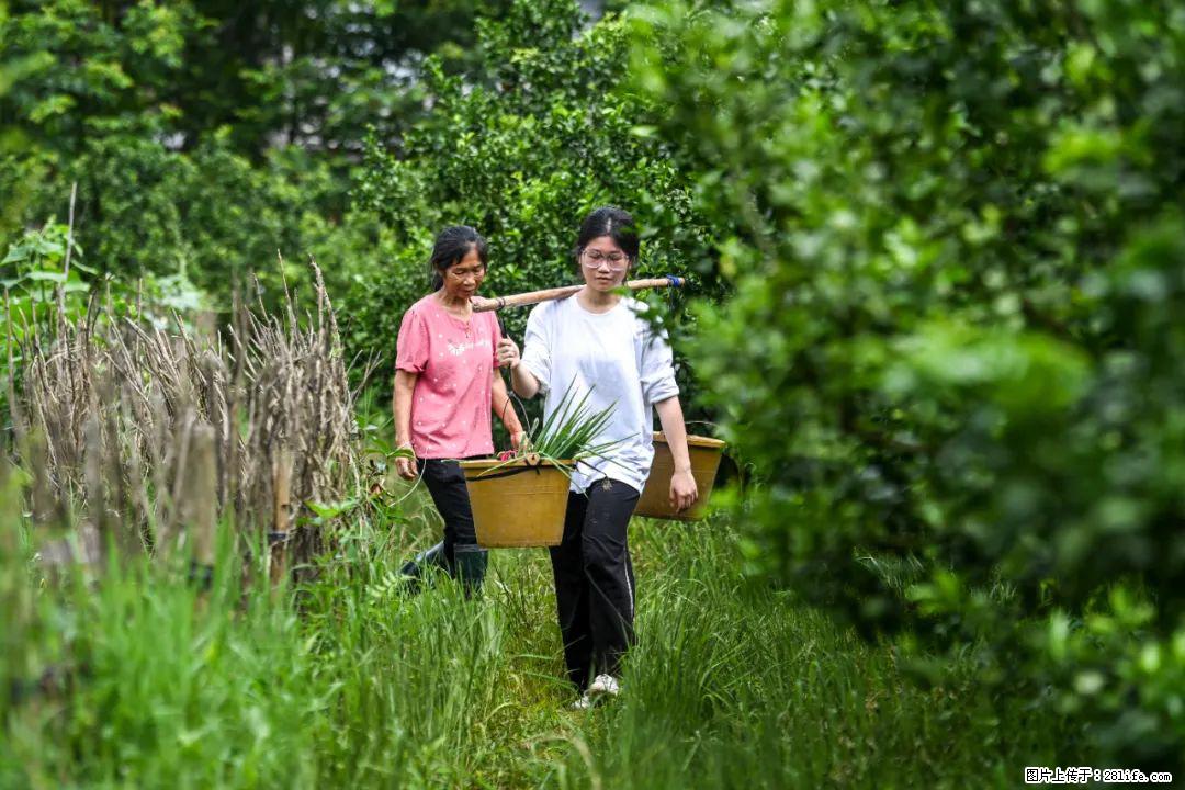 全网追的“扁担女孩”,找了一份暑假工,时薪12元 - 西安生活资讯 - 西安28生活网 xa.28life.com