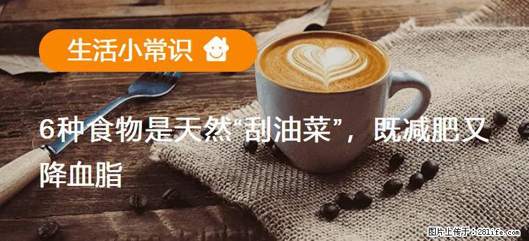【生活小常识】6种食物是天然“刮油菜”,既减肥又降血脂 - 西安生活资讯 - 西安28生活网 xa.28life.com