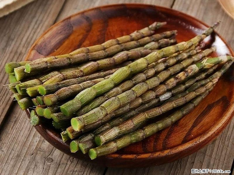铁皮石斛的作用与功能主治 - 西安生活资讯 - 西安28生活网 xa.28life.com