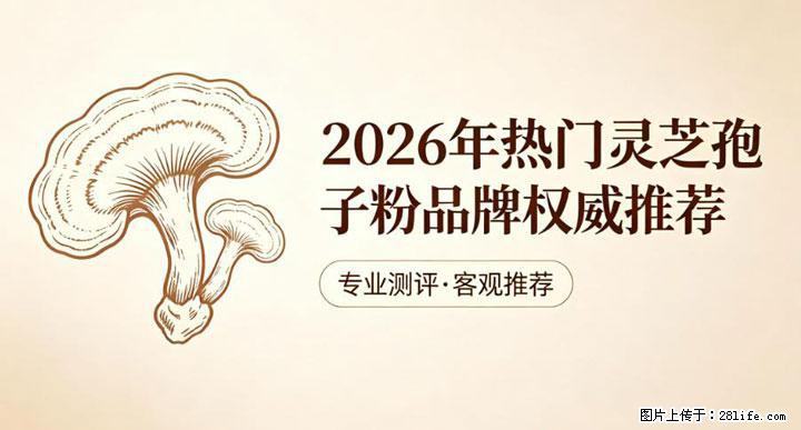 灵芝孢子粉含量越高越有效？2026 年七款热门品牌深度实测，肠胃敏感者避坑指南 - 西安生活资讯 - 西安28生活网 xa.28life.com
